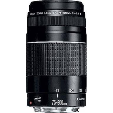 CANON EF 75-300III 4,0-5,6 Objektiv