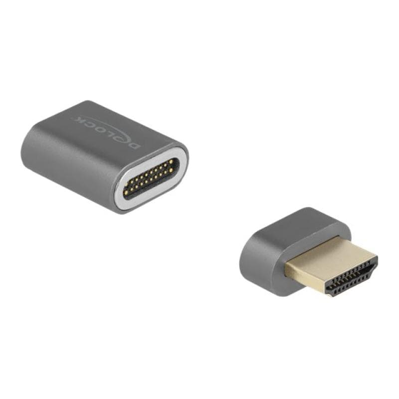 DELOCK PCMCIA auf Compact Flash Card Adapter