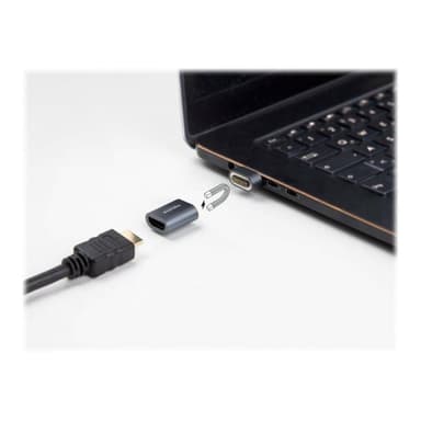 DELOCK PCMCIA auf Compact Flash Card Adapter
