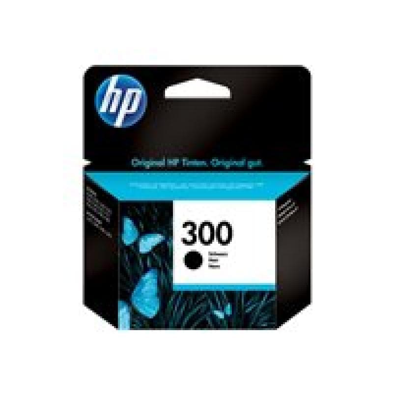 HP 300 Schwarz Tintenpatrone