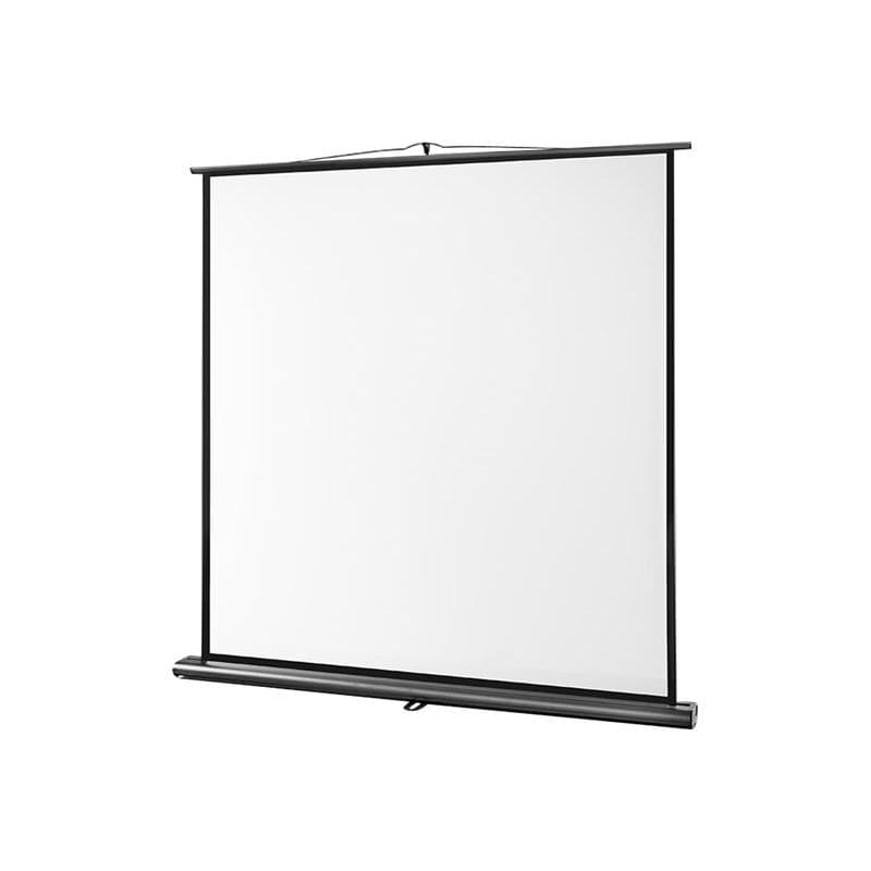 CELEXON Leinwand Ultramobil Professional 160x160cm