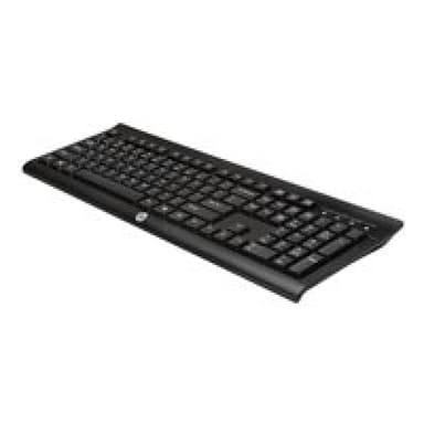 HP Wireless Keyboard K2500 Spa