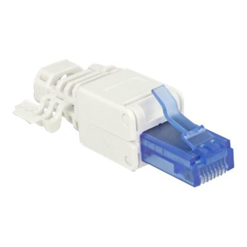 DELOCK RJ45 Stecker Cat.6A UTP werkzeugfrei 2 Stück