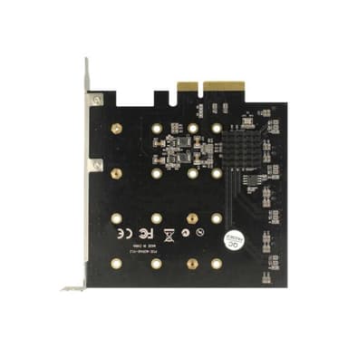 DELOCK PCI Express Karte > 4 x intern M.2 Key B mit RAID