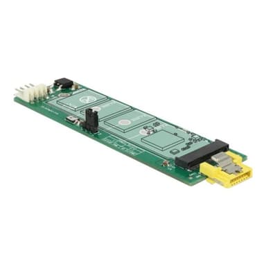 DELOCK Konv SATA Pin8 Bu>M.2 Key B Slot