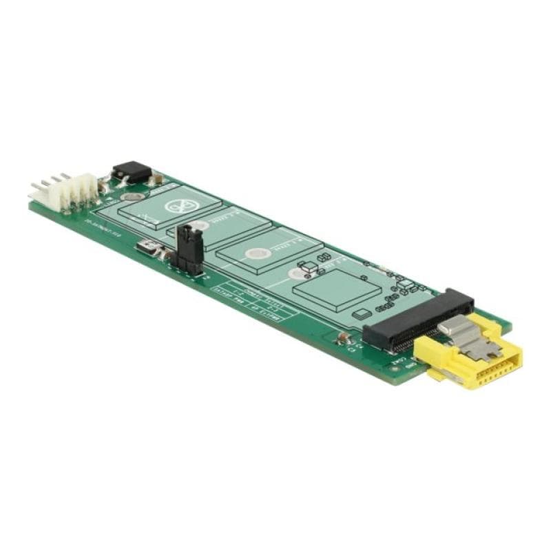 DELOCK Konv SATA Pin8 Bu>M.2 Key B Slot