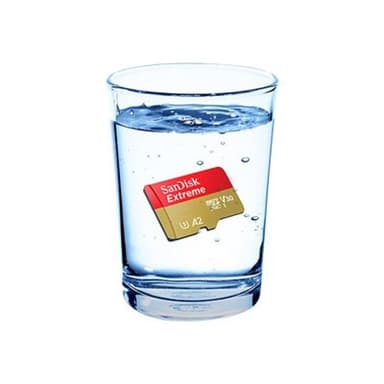 SANDISK Action SC 64GB