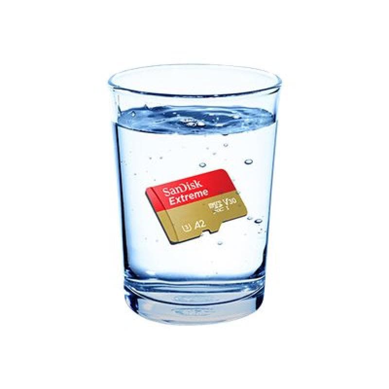 SANDISK Action SC 64GB