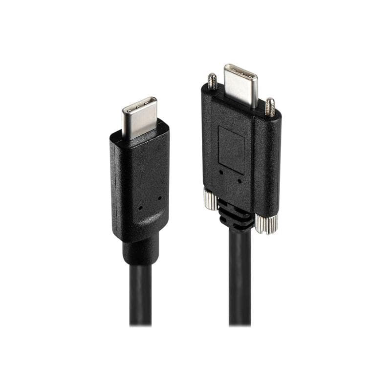 LINDY USB 3.1 Gen 2 Typ C Metall Hub 4 Port