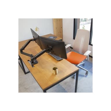 ERGOTRON LX Montagearm fuer 2 Monitore nebeneinander bis 68,6cm 27Zoll max.18kg Reichweite von bis z