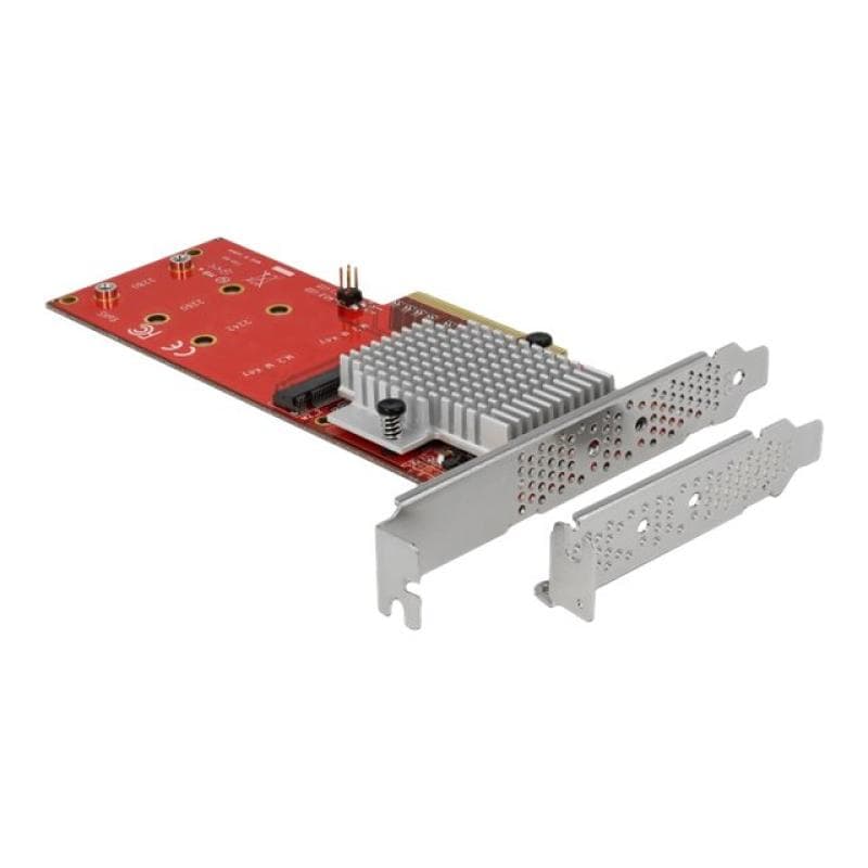 DELOCK PCI Express x8 Karte zu 2 x intern NVMe M.2 Key M - Low Profile Formfaktor
