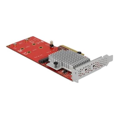 DELOCK PCI Express x8 Karte zu 2 x intern NVMe M.2 Key M - Low Profile Formfaktor