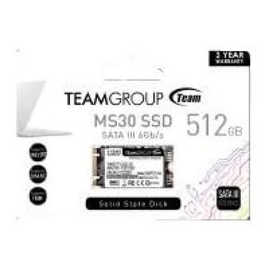 TEAM GROUP MS30 512GB