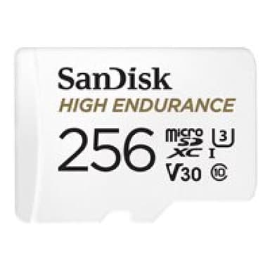 SANDISK High Endurance 256GB