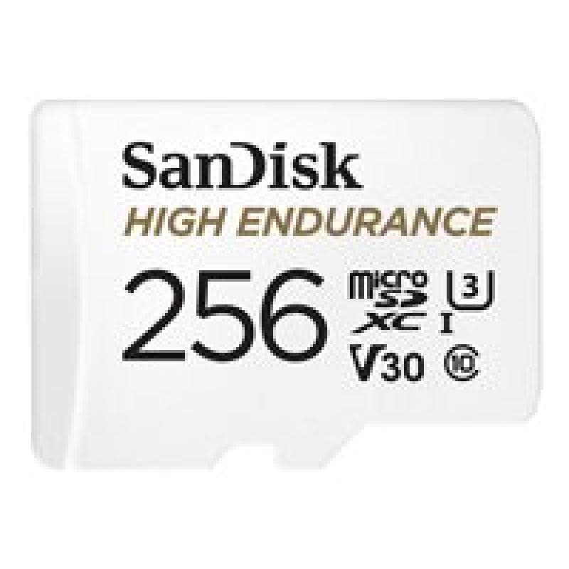 SANDISK High Endurance 256GB