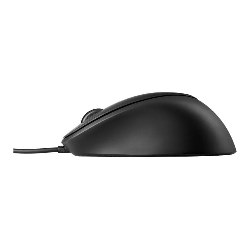 HP USB Fingerprint Maus kabelgebunden