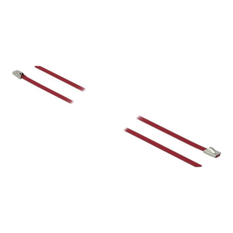 DELOCK Edelstahlkabelbinder L 500 x B 4,6 mm rot 10 Stück