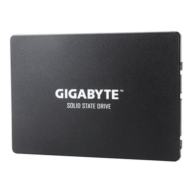 GIGABYTE GP-GSTFS31256GTND 256GB