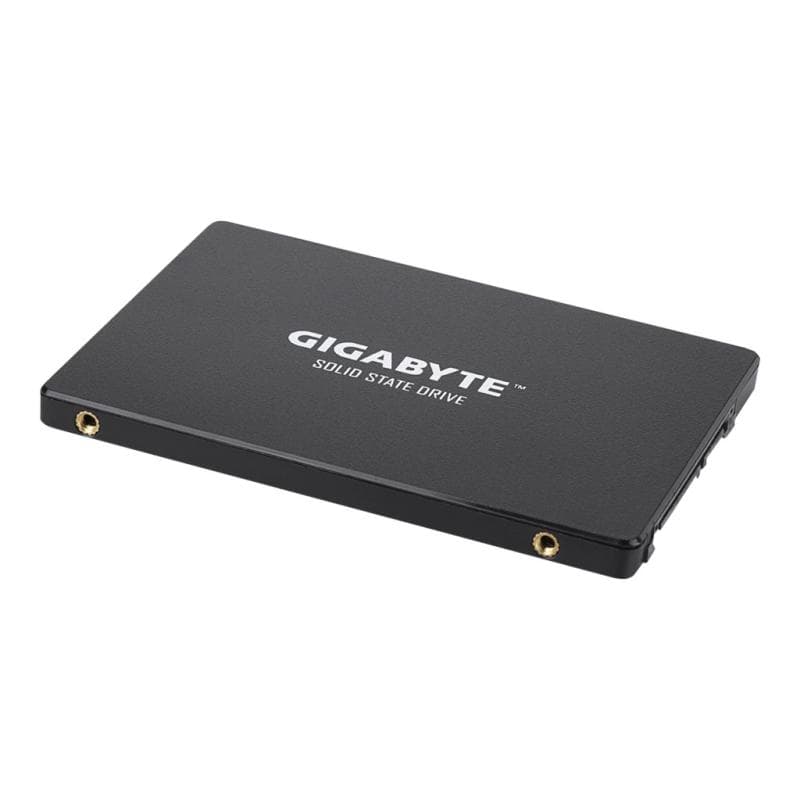 GIGABYTE GP-GSTFS31256GTND 256GB