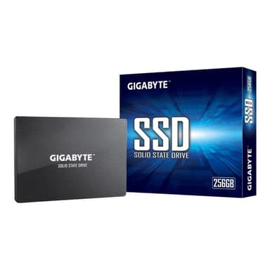 GIGABYTE GP-GSTFS31256GTND 256GB