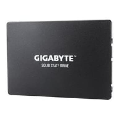 GIGABYTE GP-GSTFS31256GTND 256GB
