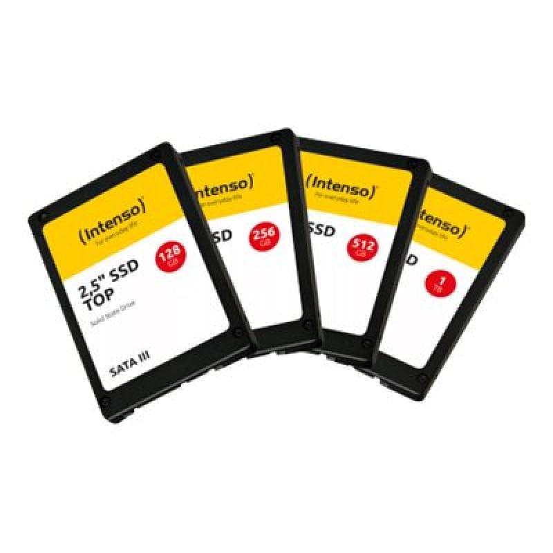 INTENSO Top Perform 1TB