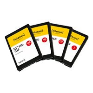 INTENSO Top Perform 1TB