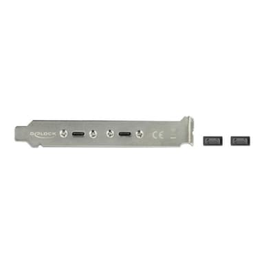 DELOCK Slotblech mit 2 x USB Type-C Port