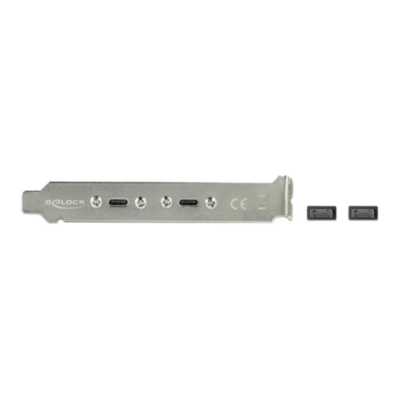 DELOCK Slotblech mit 2 x USB Type-C Port