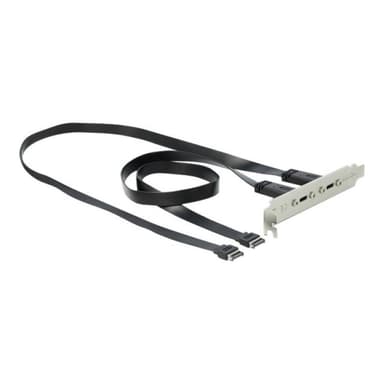 DELOCK Slotblech mit 2 x USB Type-C Port
