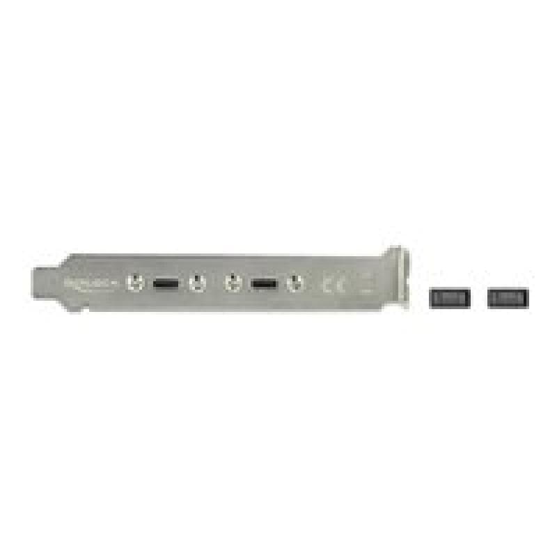 DELOCK Slotblech mit 2 x USB Type-C Port