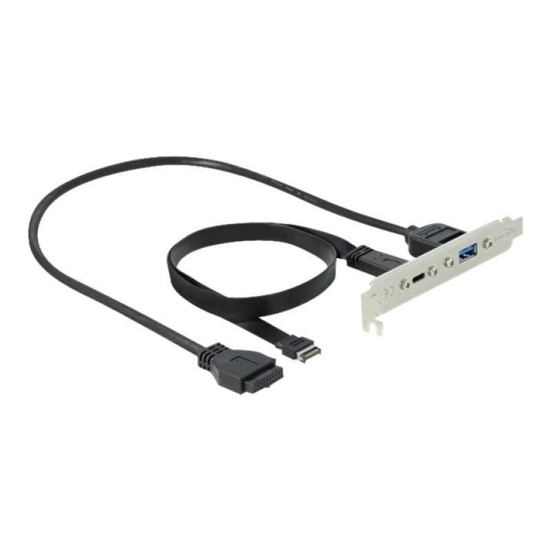 DELOCK Slotblech mit 1 x USB Type-C und 1 x USB Typ-A Port