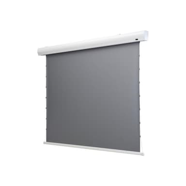 CELEXON HomeCinema Motorleinwand Tension 298 x 168 cm 135 - Dynamic Slate ALR