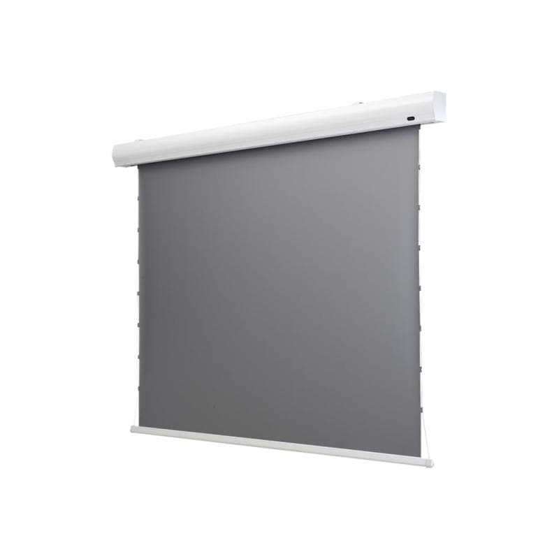 CELEXON HomeCinema Motorleinwand Tension 298 x 168 cm 135 - Dynamic Slate ALR