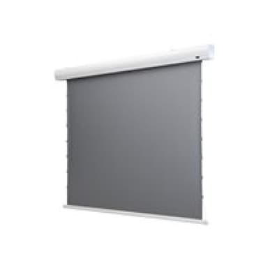 CELEXON HomeCinema Motorleinwand Tension 298 x 168 cm 135 - Dynamic Slate ALR