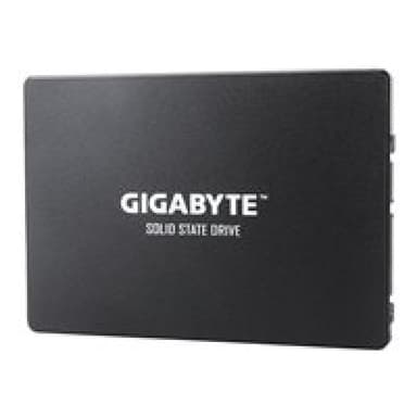 GIGABYTE GSTFS31100 1TB