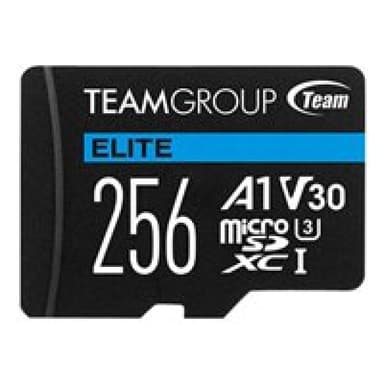 TEAM GROUP Elite A1 V30 256GB