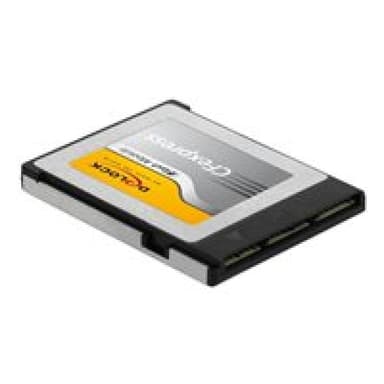 DELOCK CFexpress Speicherkarte 256 GB