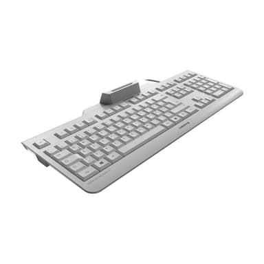 CHERRY SECURE BOARD 1.0 grau (DE)