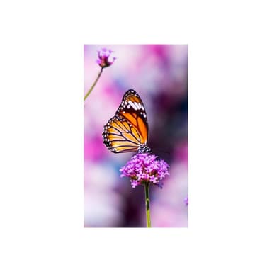 NEC MultiSync UN552VS 139,7cm (55″)