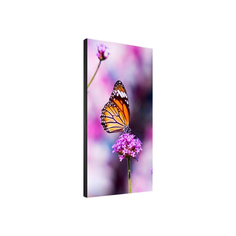 NEC MultiSync UN552VS 139,7cm (55″)