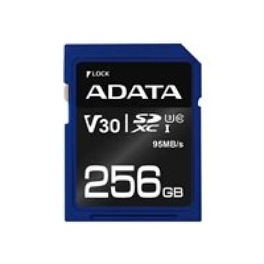 A-DATA ADATA Premier Pro 256GB