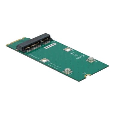 DELOCK Adapter M.2 Key B+M zu Mini PCIe Slot (PCIe / USB)