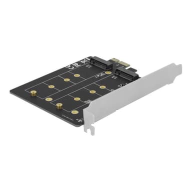 DELOCK PCIe x1 Karte > 2x int. M.2 Key B