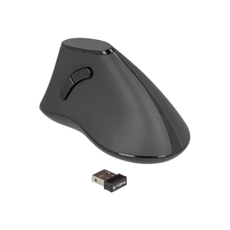 DELOCK Ergonomic - Maus - ergonomisch - Für Rechtshänder - optisch - 5 Tasten - kabellos - 2,4 GHz