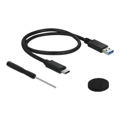 DELOCK Externes Gehäuse für 6,35cm 2,5Zoll SATA HDD/SSD mit SuperSpeed USB 10 Gbps USB 3.1 Gen 2