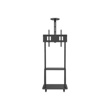 TECHLY Boden-TV-Halter für 32″-70″ TV