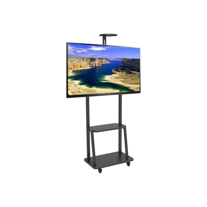 TECHLY Boden-TV-Halter für 32″-70″ TV
