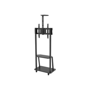 TECHLY Boden-TV-Halter für 32″-70″ TV