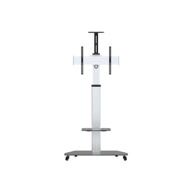 CELEXON Profi Display Rollwagen 3270MP hoehenverstellbar